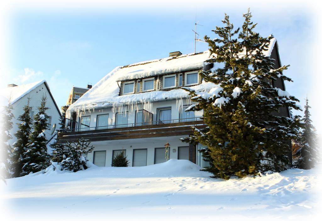 Wietheger'S Gaestehaus Centrum Willingen  Chambre photo